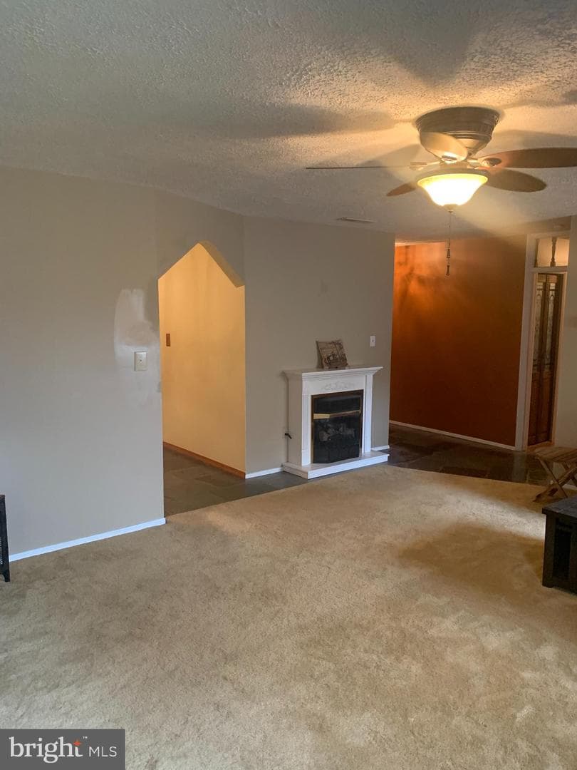 2711 Kirk Lane photo 43
