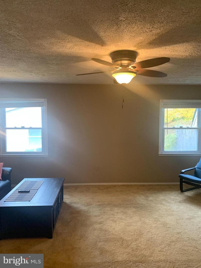 2711 Kirk Lane photo 47