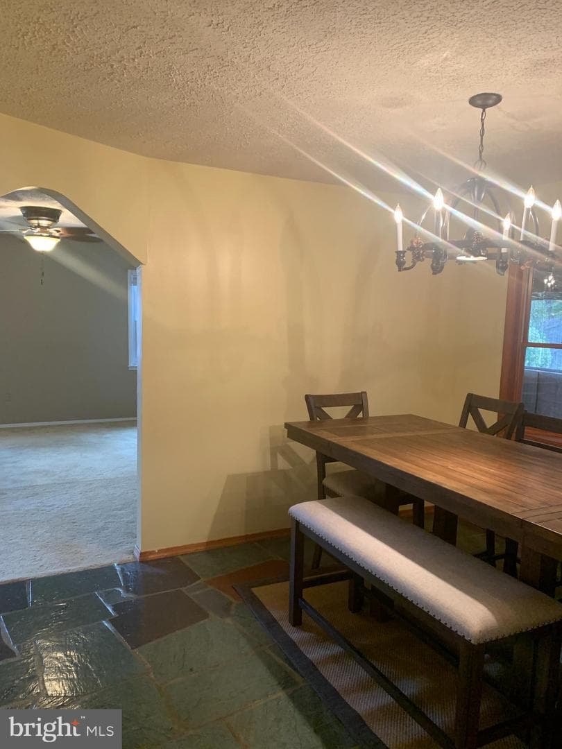 2711 Kirk Lane photo 50