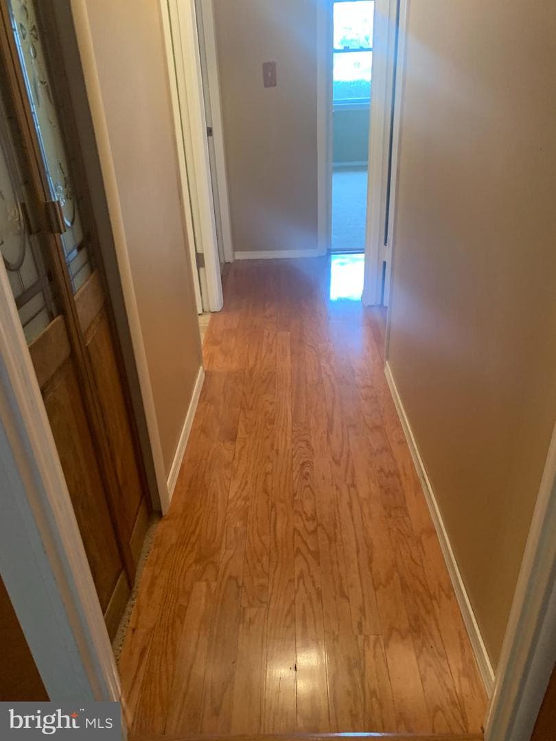 2711 Kirk Lane photo 93