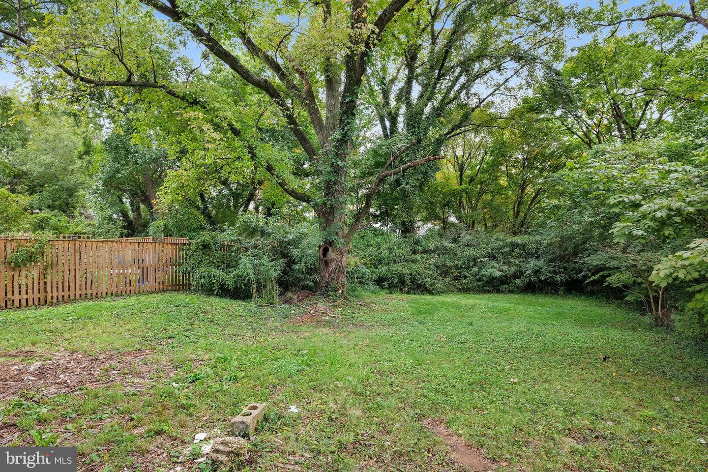 4310 30th Street photo 16
