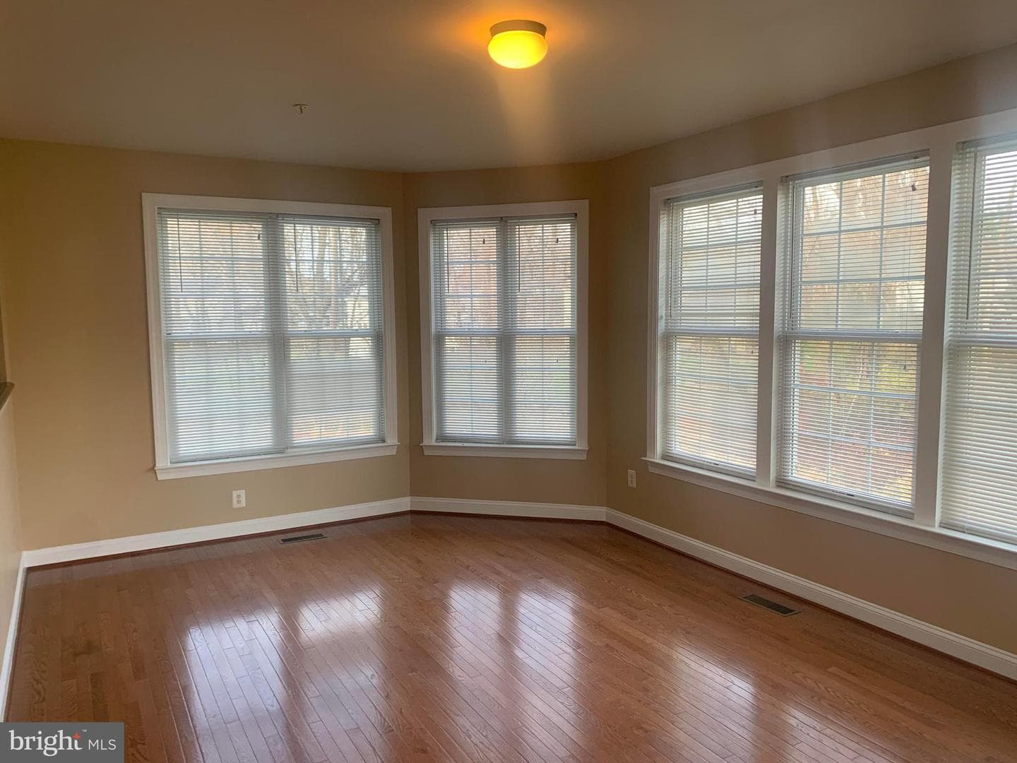 11804 Meadowland Drive photo 11