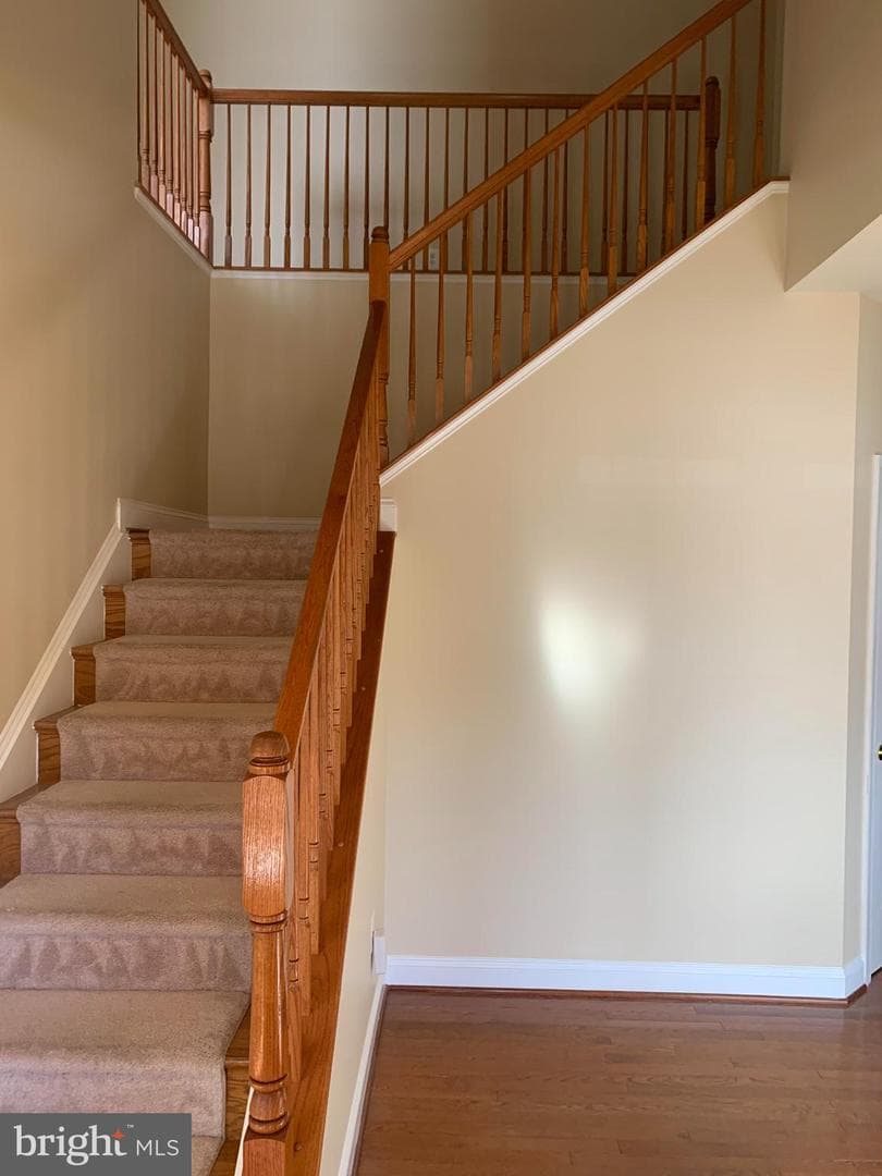 11804 Meadowland Drive photo 13