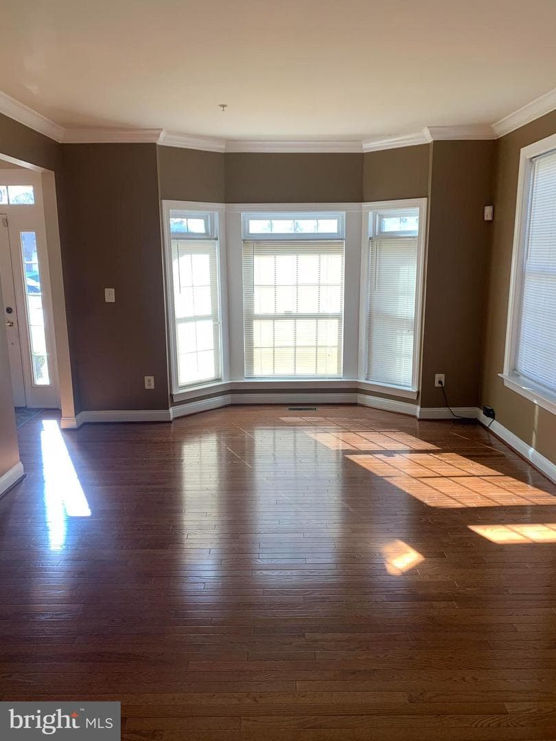 11804 Meadowland Drive photo 9
