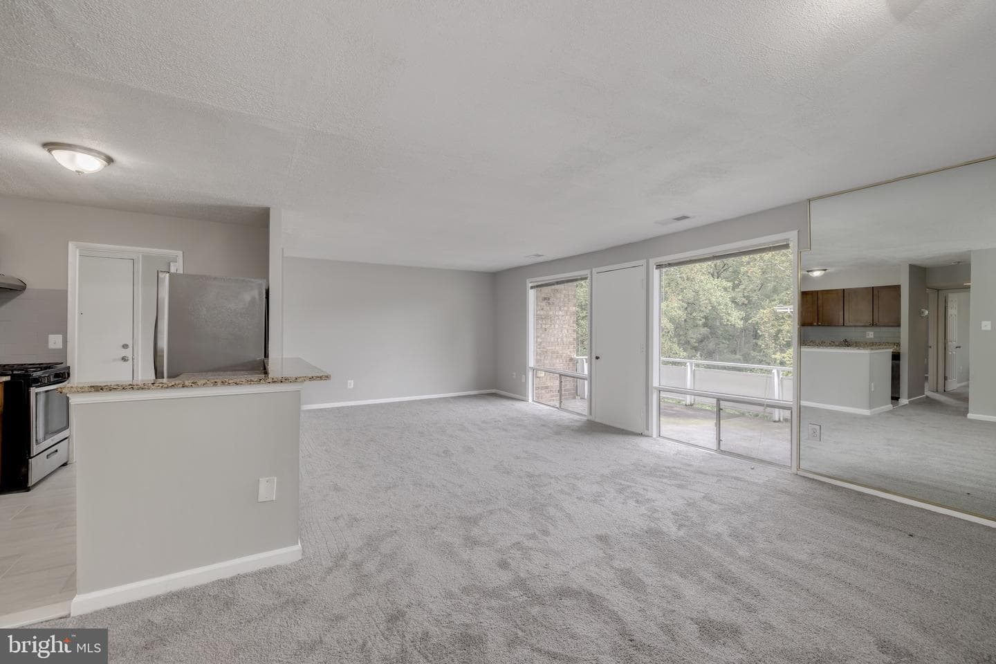 548 Wilson Bridge Drive #6749 D-2 photo 8