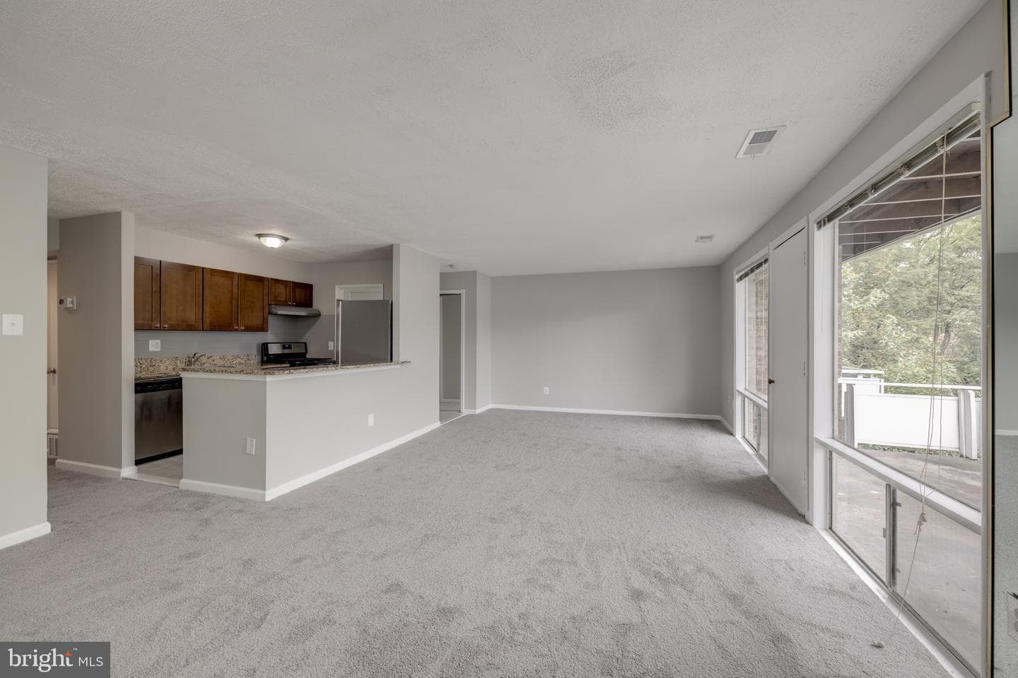 548 Wilson Bridge Drive #6749 D-2 photo 9