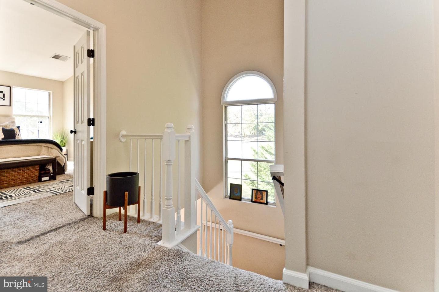 1105 Cape Teal Court photo 21