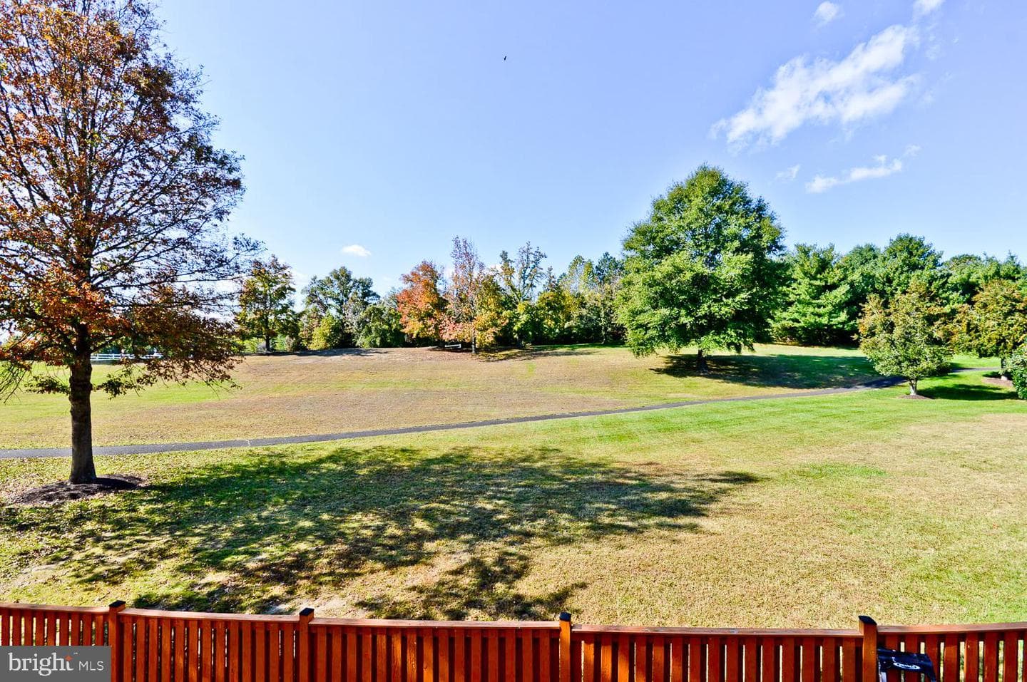 1105 Cape Teal Court photo 35
