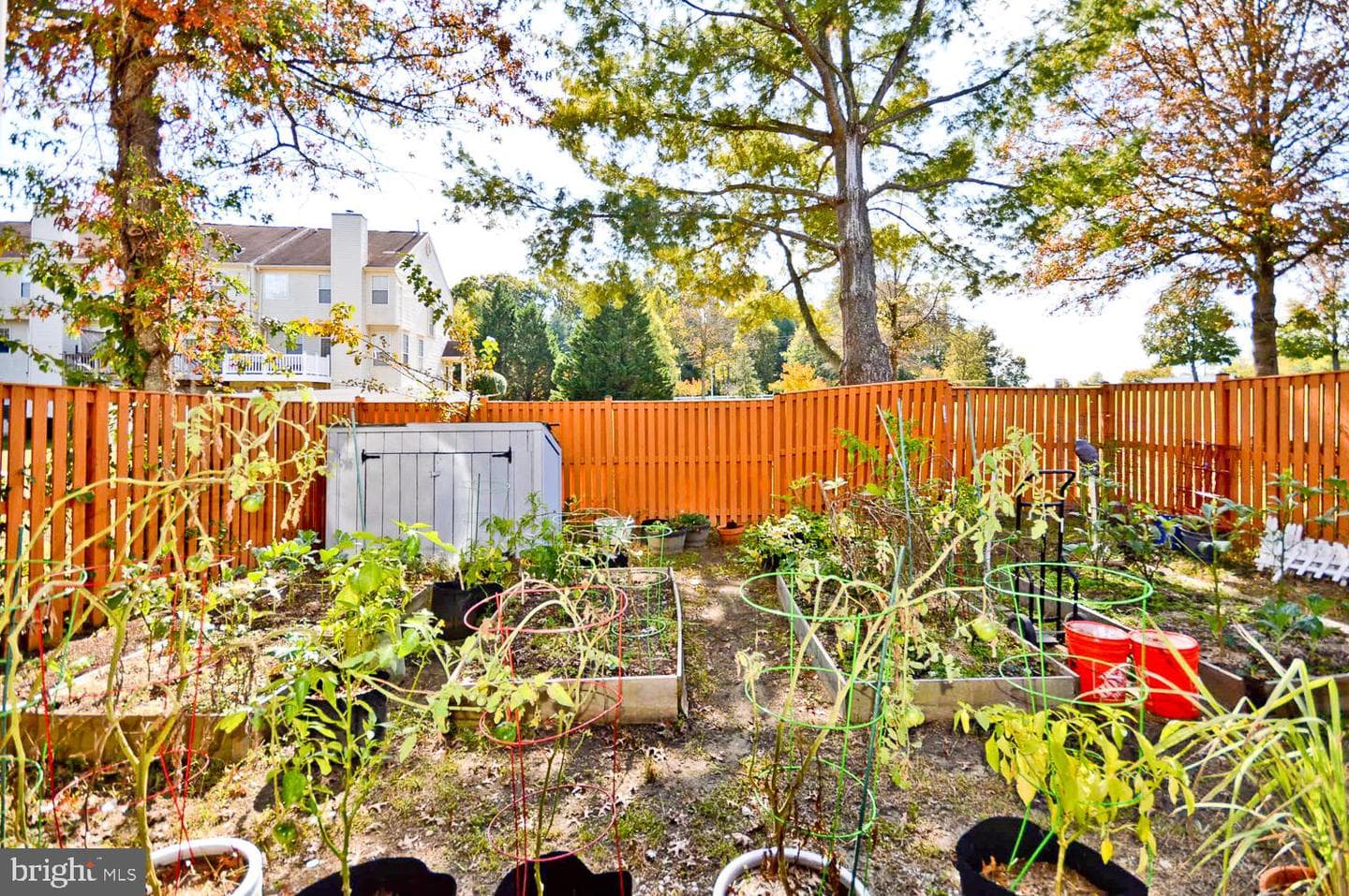 1105 Cape Teal Court photo 42
