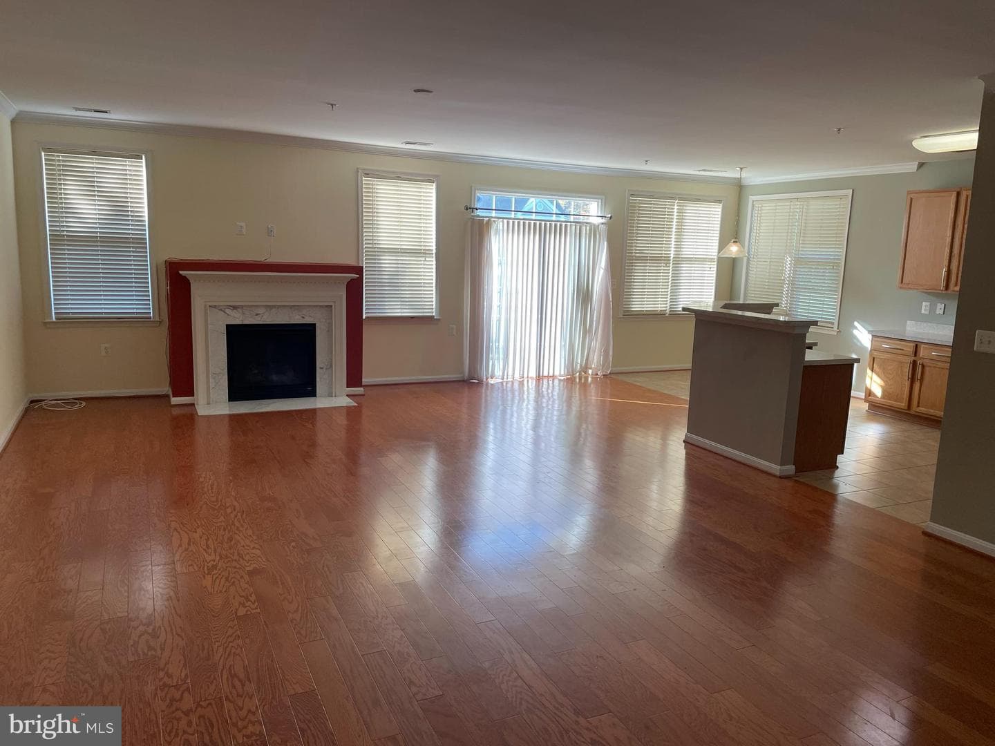 13003 Brice Court photo 3