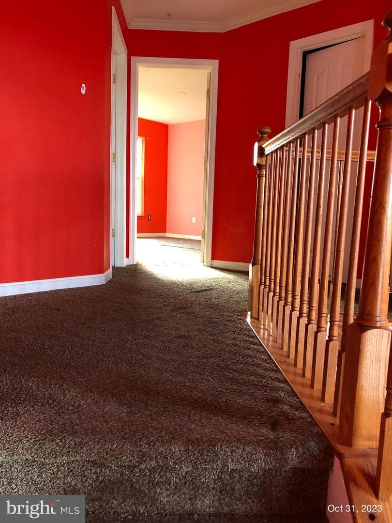 10813 Trillum Terrace photo 14