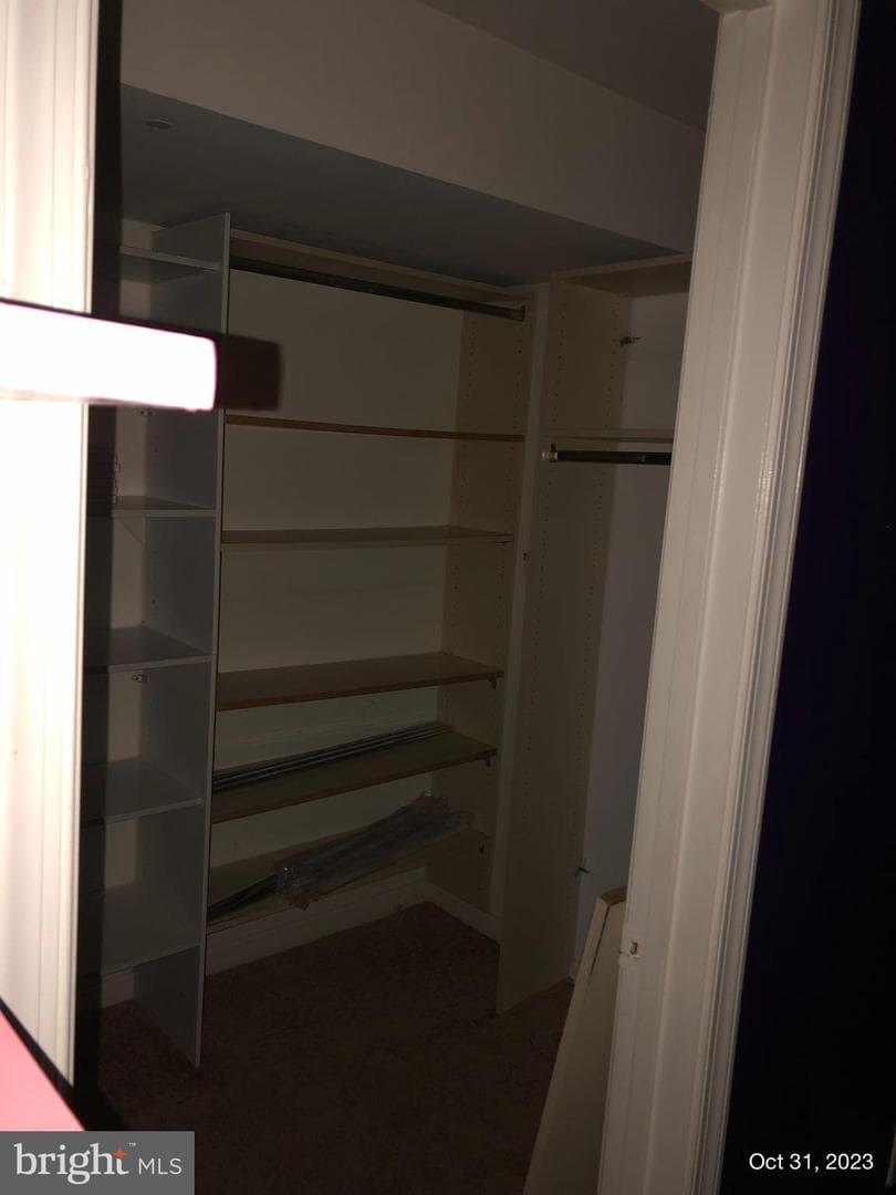 10813 Trillum Terrace photo 17