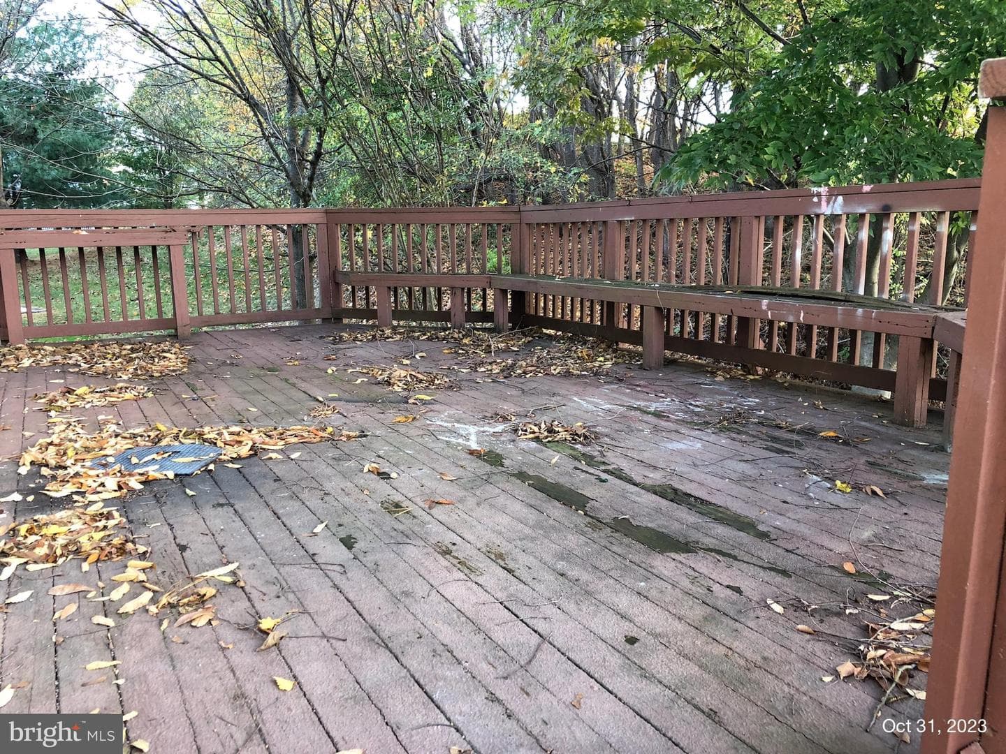 10813 Trillum Terrace photo 26