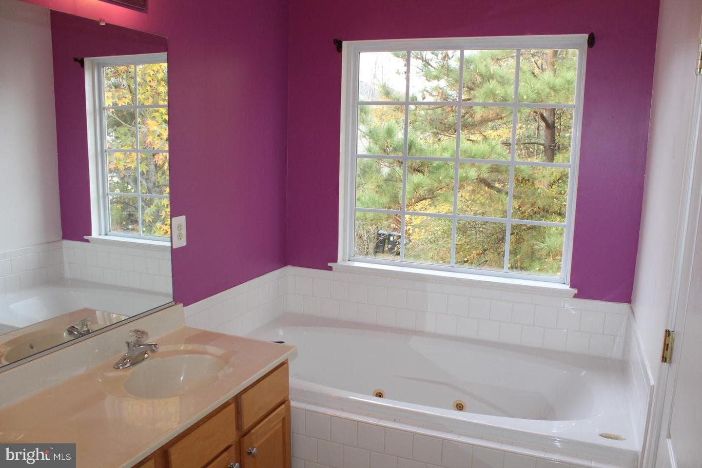 15648 Birmingham Circle photo 3