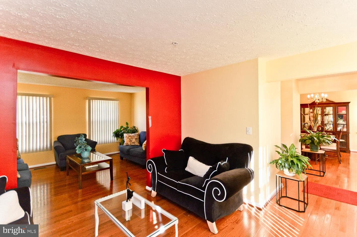 9729 Natalie Drive S photo 8
