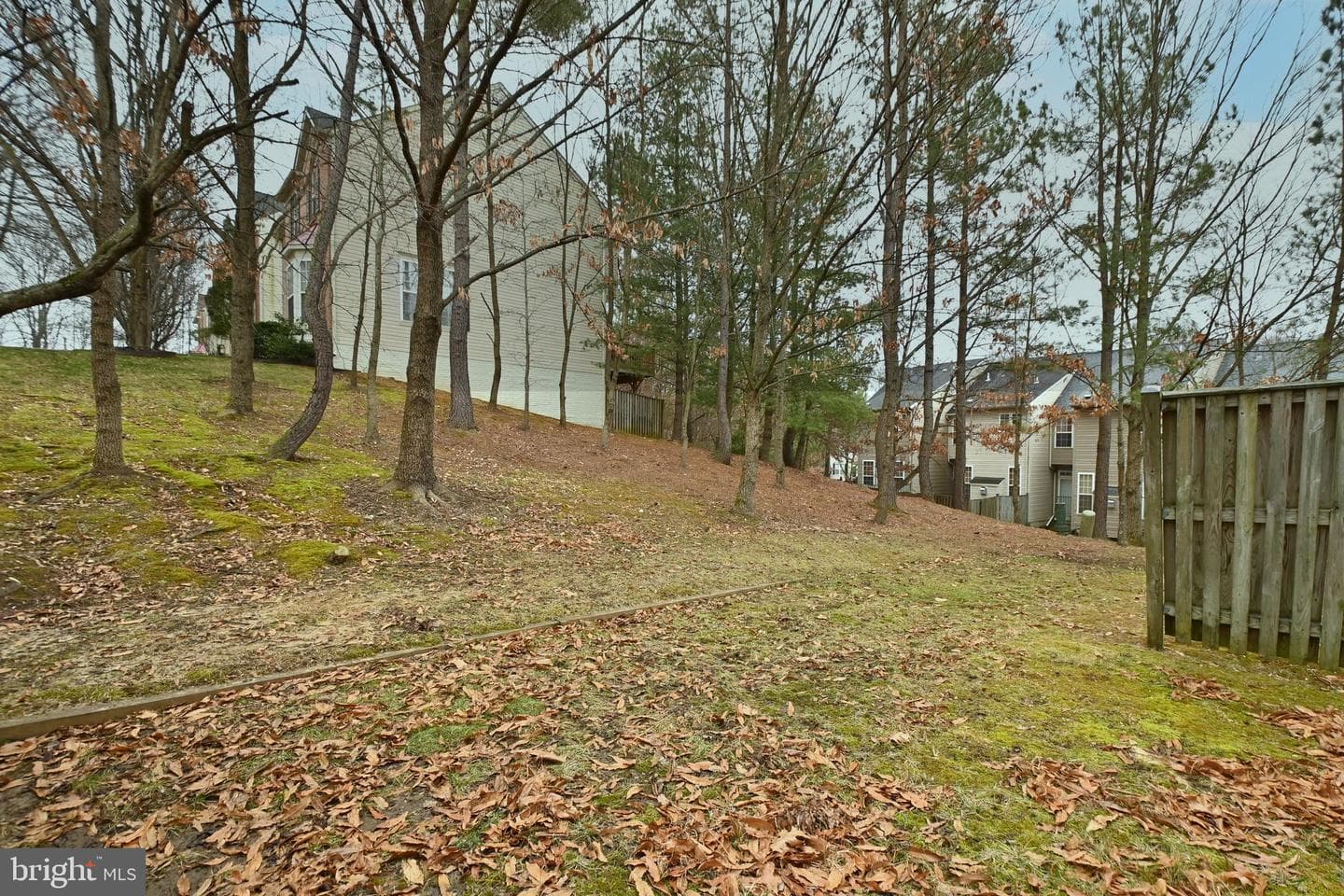 7218 Serenade Circle photo 39