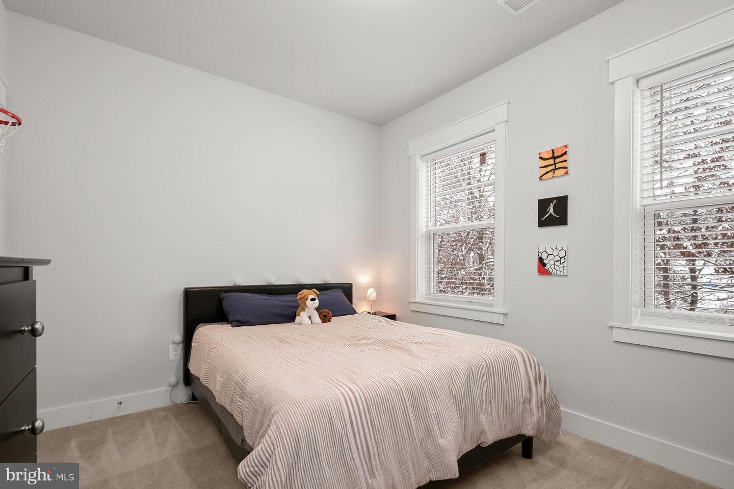 11101 Emack Road photo 43