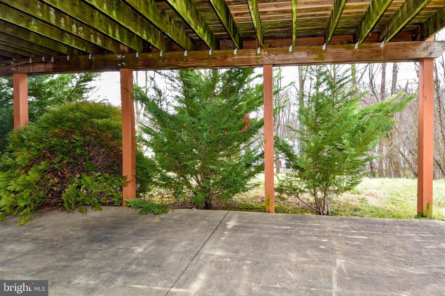 13317 Katrinka Drive photo 48