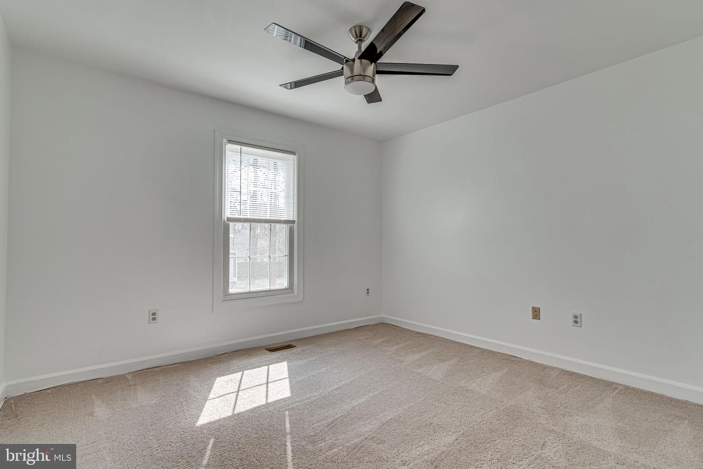 10711 Wimpole Place photo 23