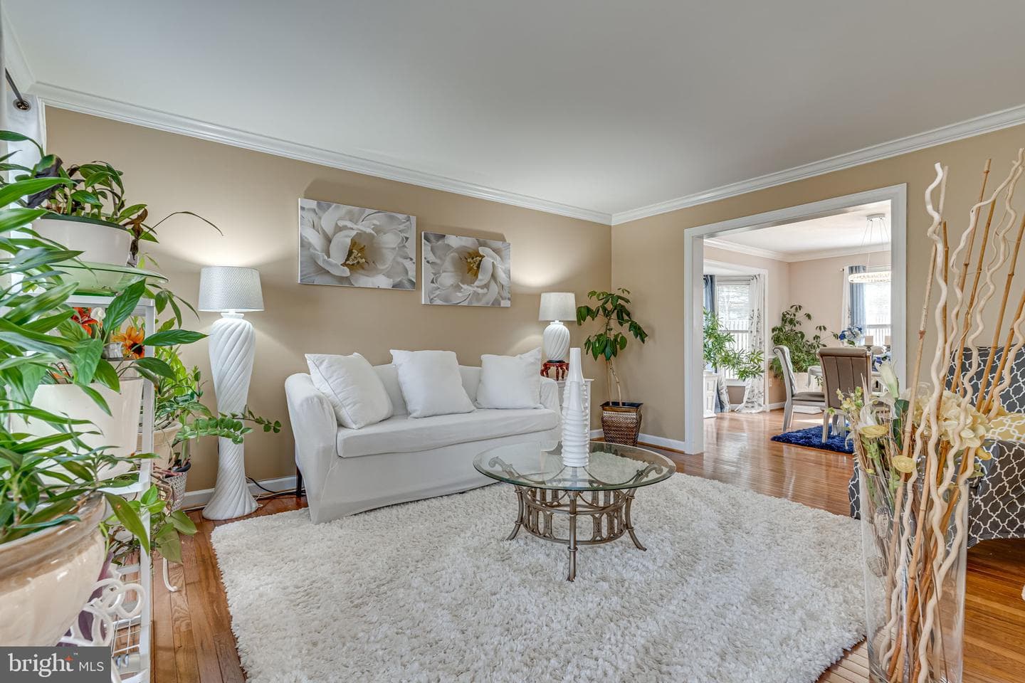 10711 Wimpole Place photo 3