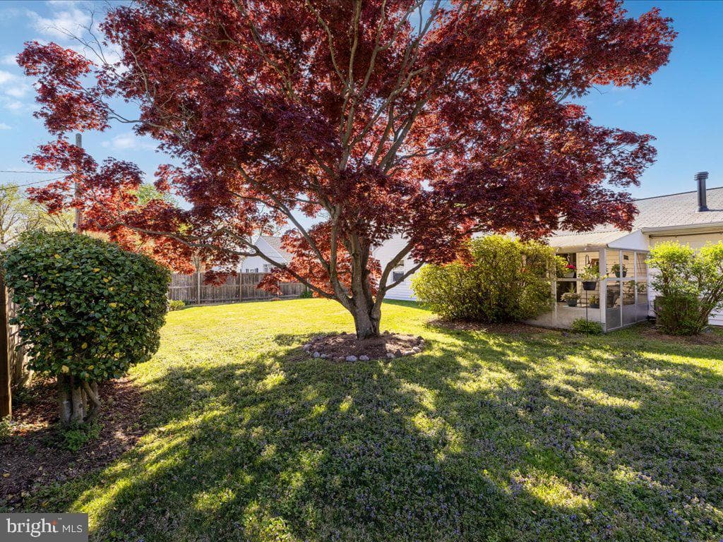 12300 Shelter Lane photo 7
