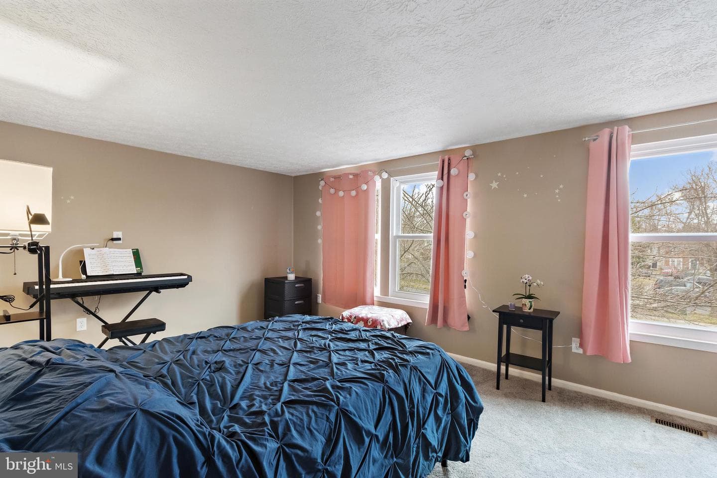 15513 N Platte Drive photo 30