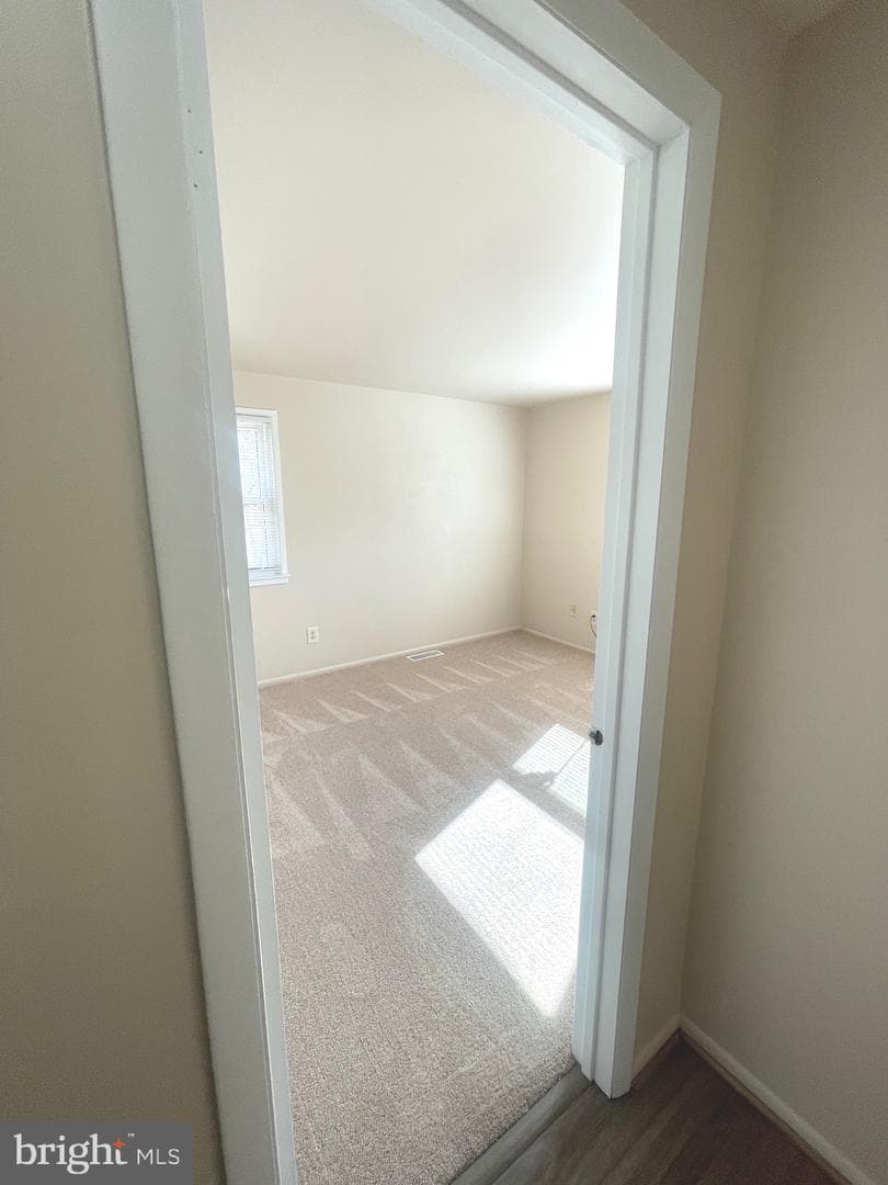 9700 Tam O Shanter Drive photo 53