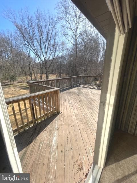 9700 Tam O Shanter Drive photo 81