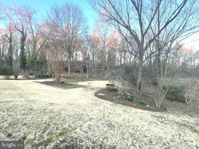 9700 Tam O Shanter Drive photo 99