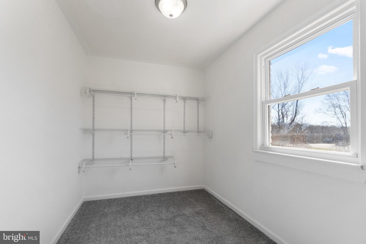 4310 Hartford Hills Drive photo 19