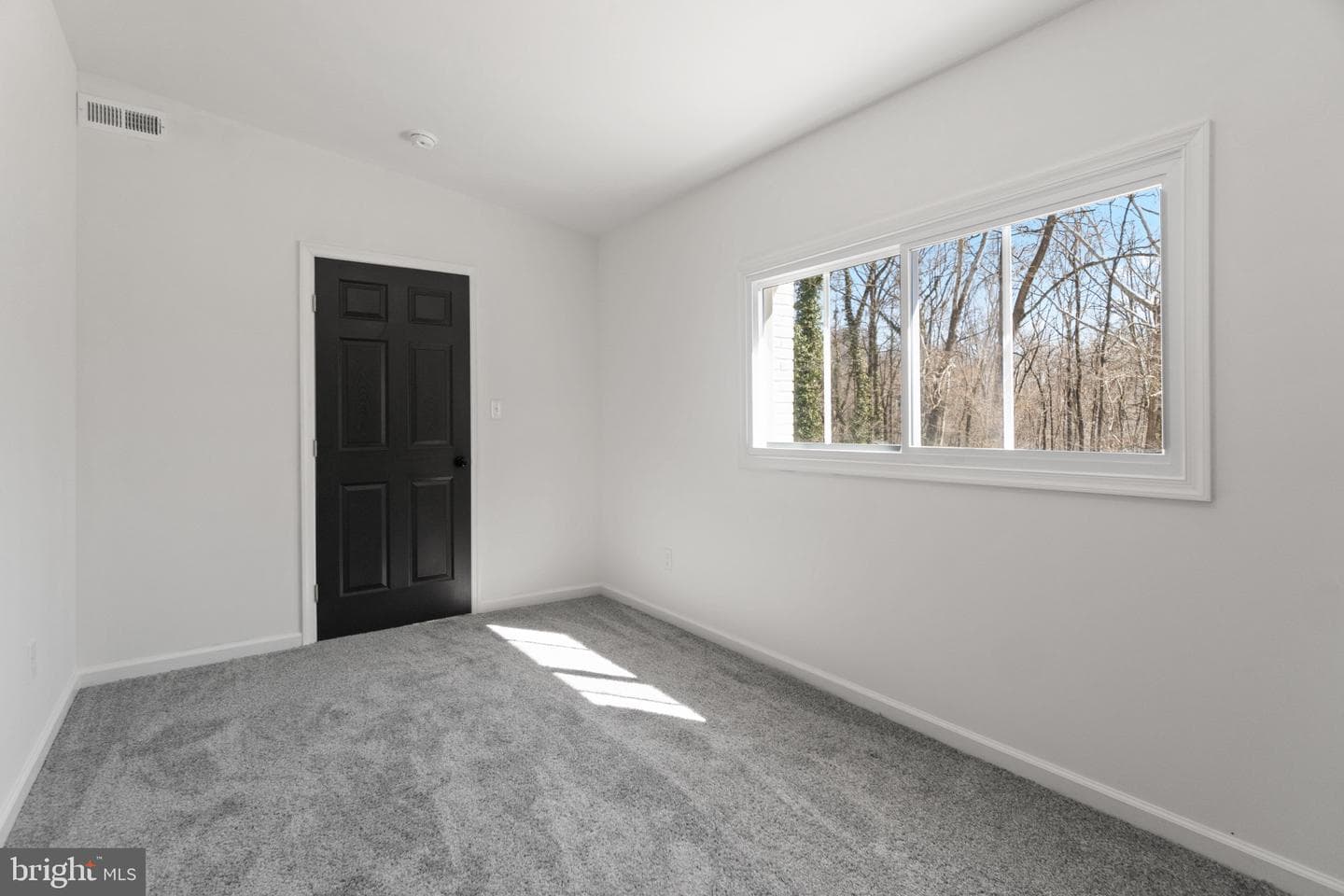 4310 Hartford Hills Drive photo 35
