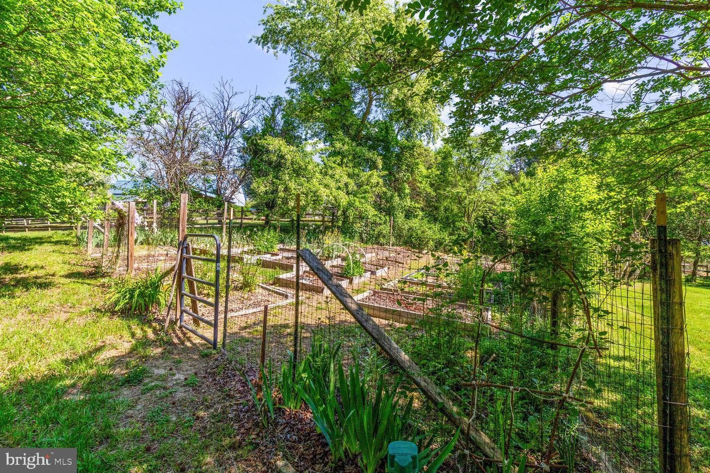 10635 Mattaponi Road photo 42