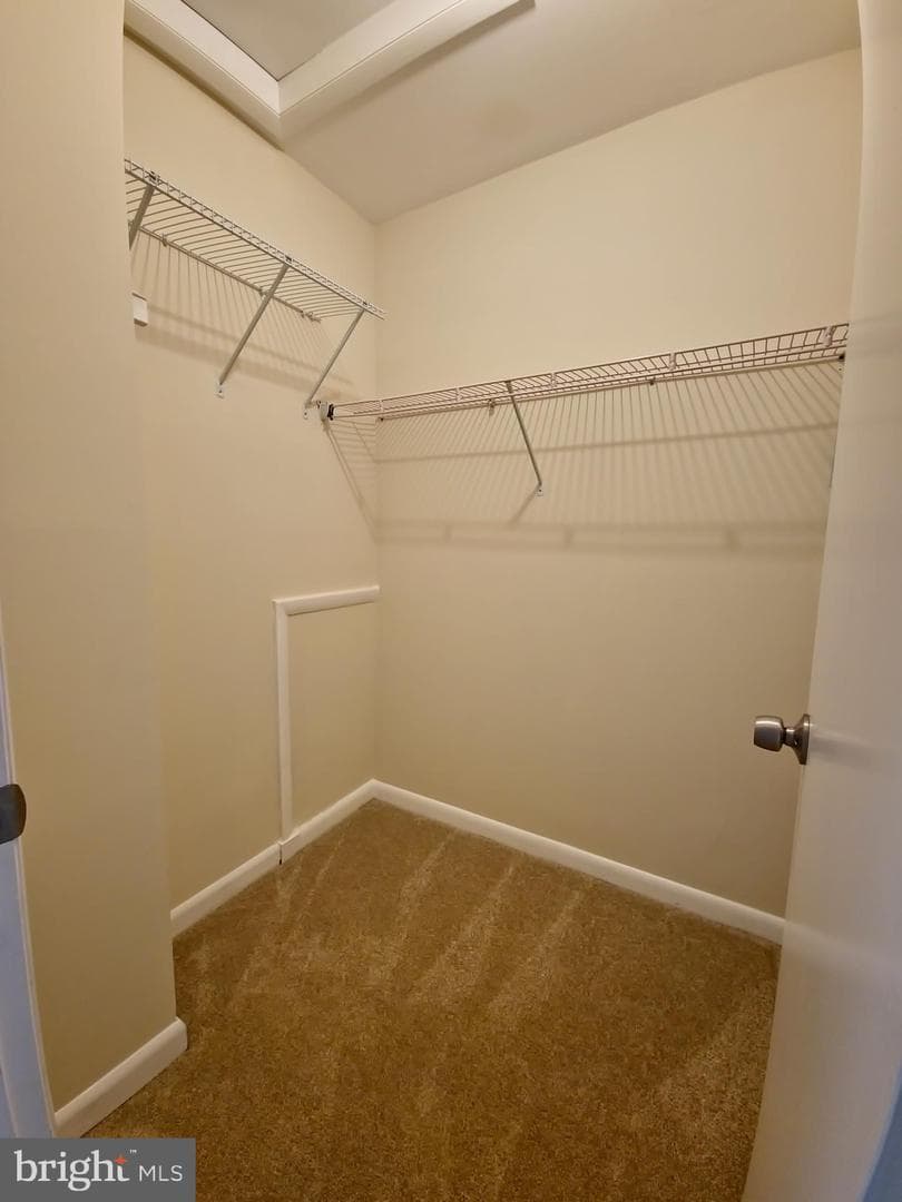 8923 Rusland Court photo 18