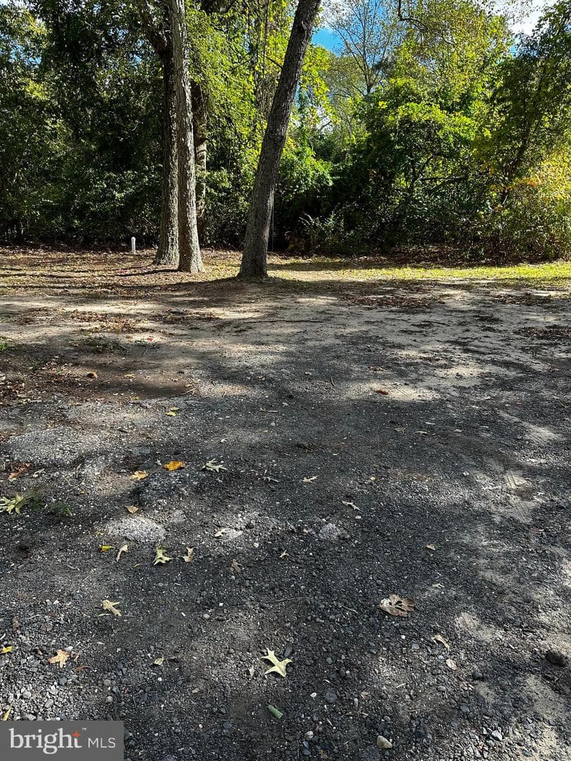 11310 Daisy Lane photo 6