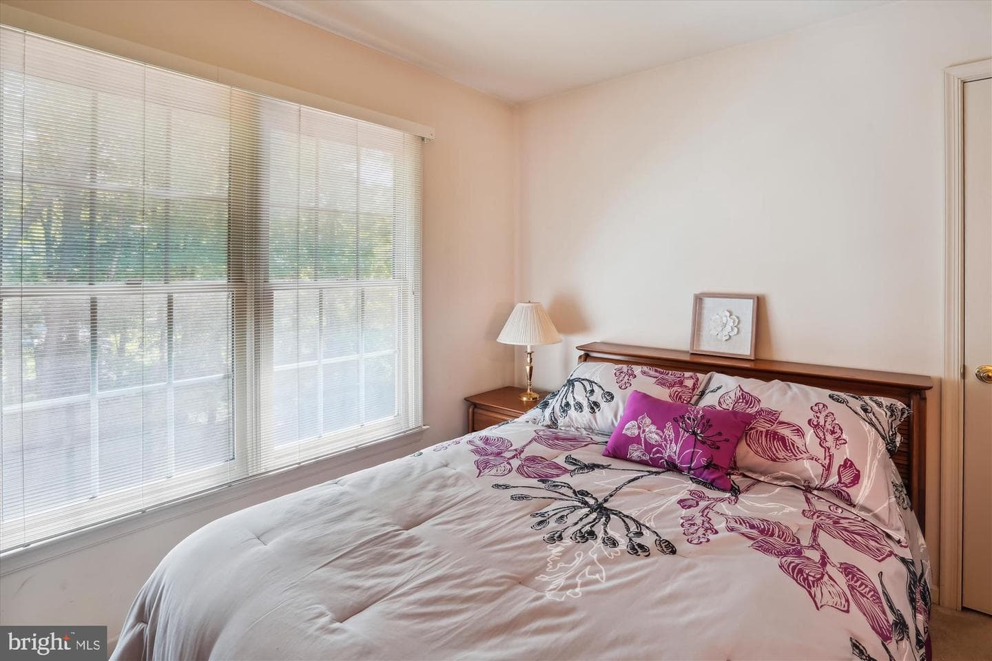 15003 Puffin Court photo 34