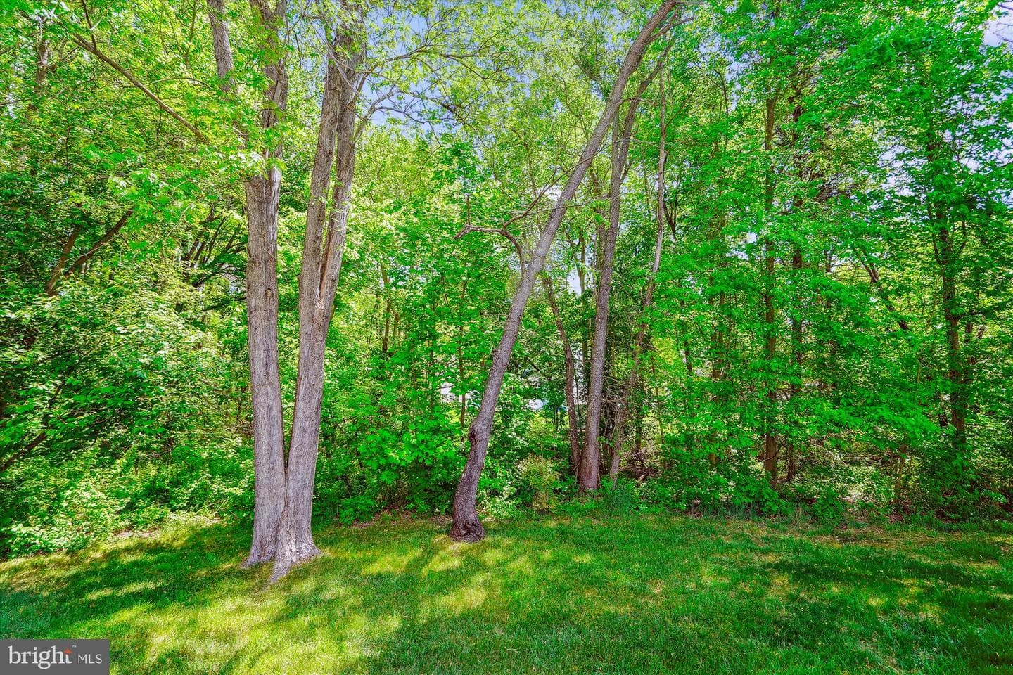 15003 Puffin Court photo 66