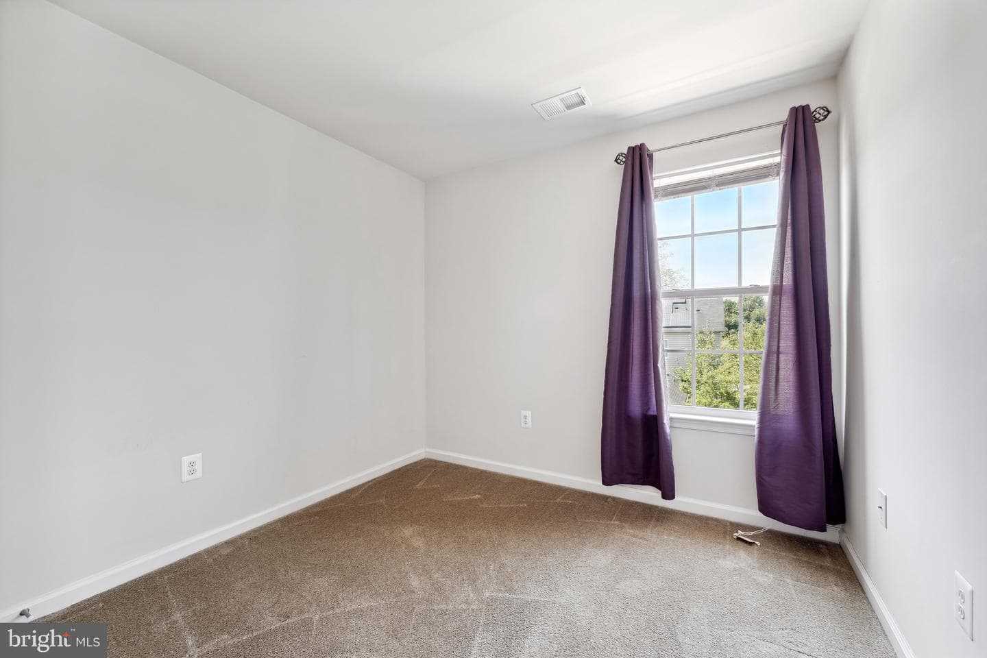2412 Baileys Pond Road photo 9