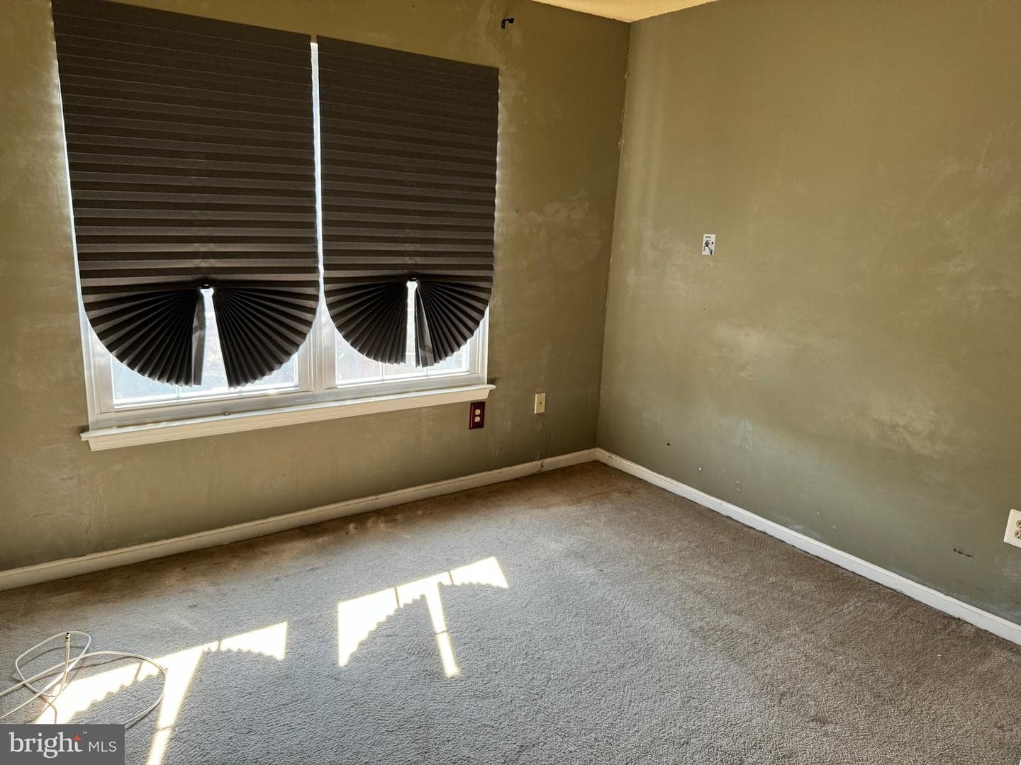 7800 Greenbrook Drive photo 10