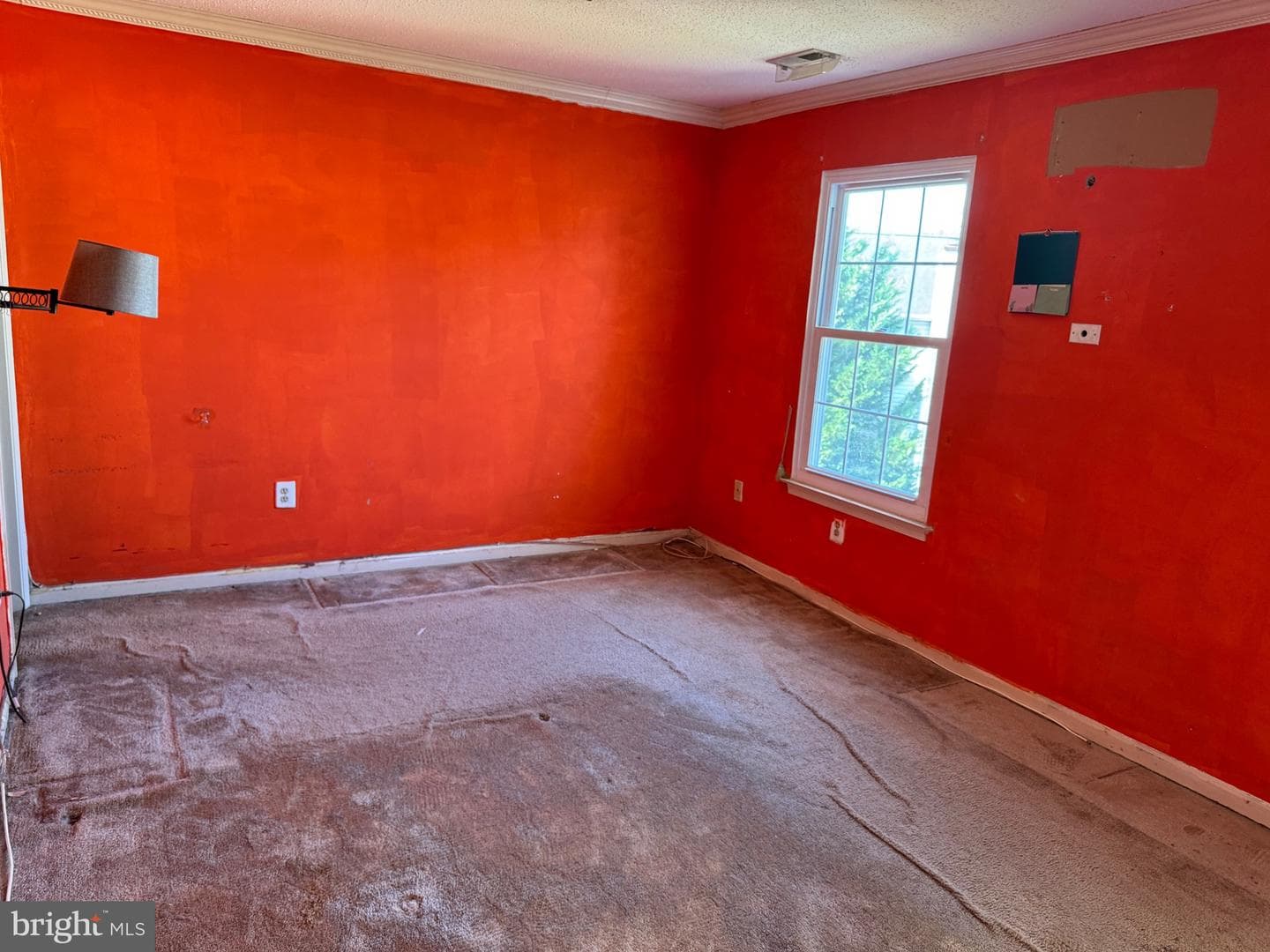 7800 Greenbrook Drive photo 8