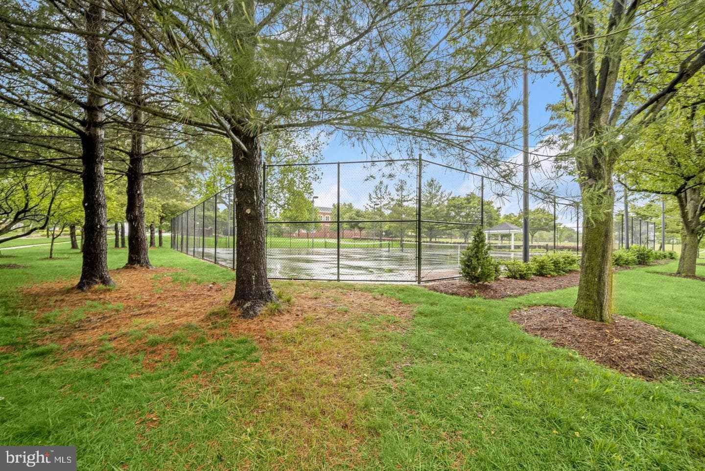 5201 Shamrocks Delight Drive #111a photo 45