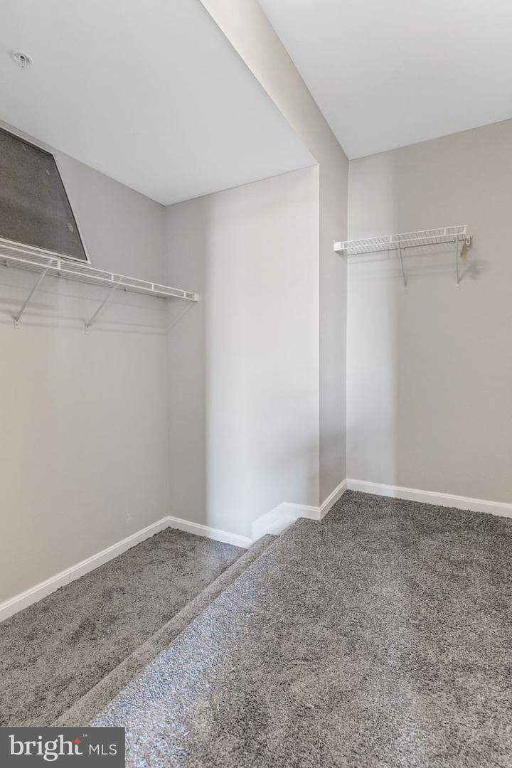 7605 Finglas Court photo 37