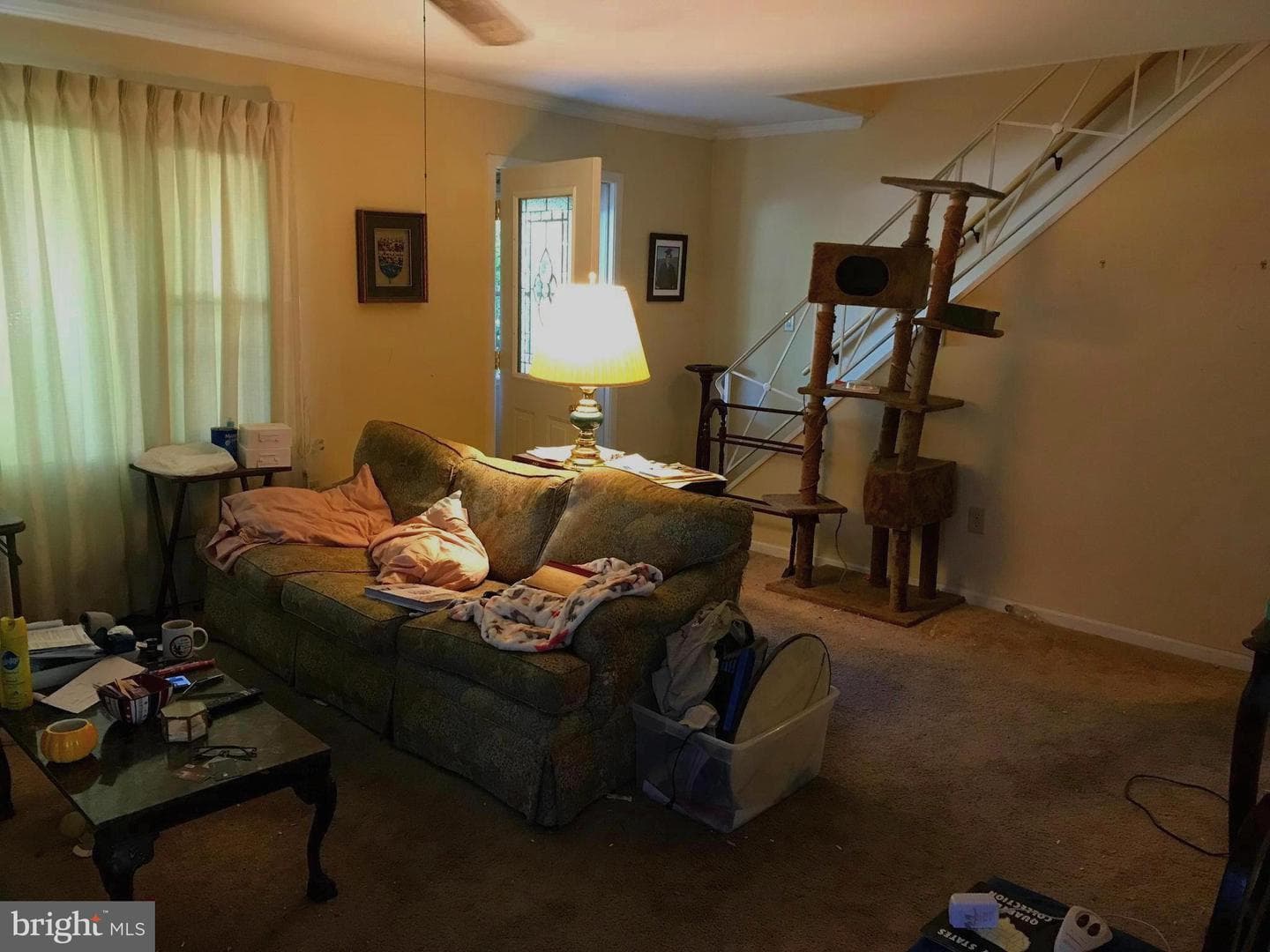 12304 Shadow Lane photo 30