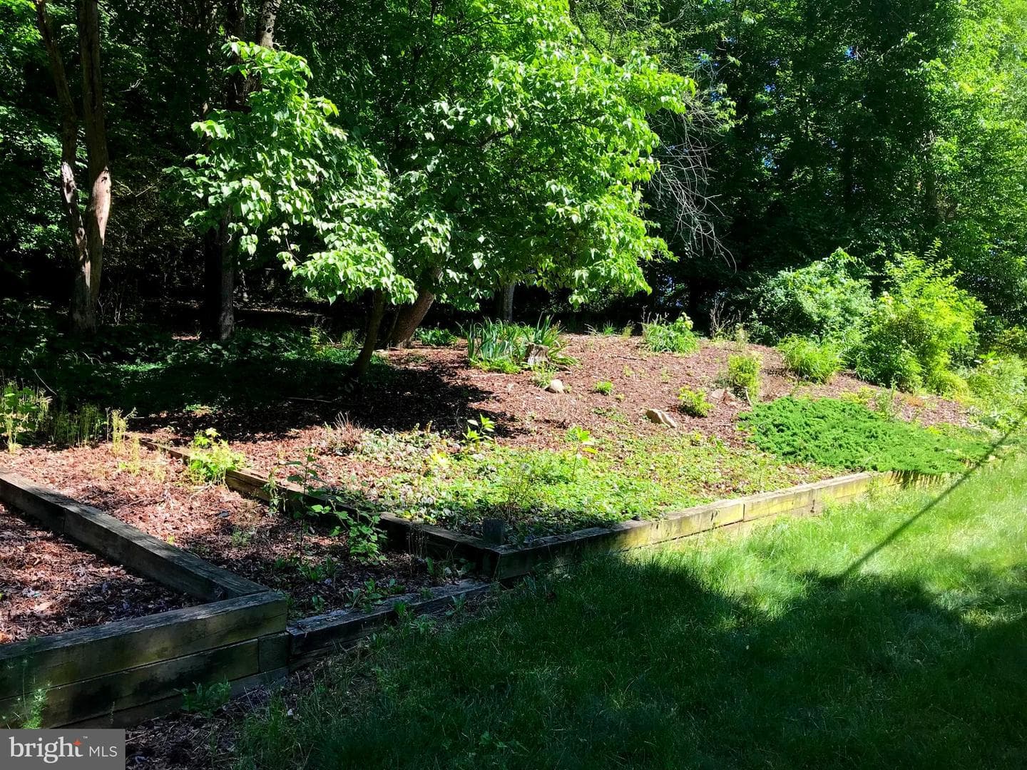 12304 Shadow Lane photo 34