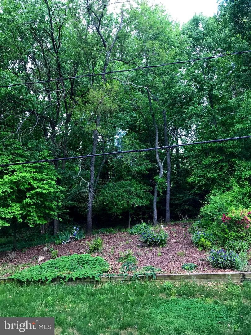 12304 Shadow Lane photo 35