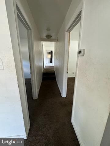 6503 Seat Pleasant Drive photo 3