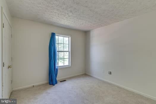 7308 Foxbranch Court photo 10