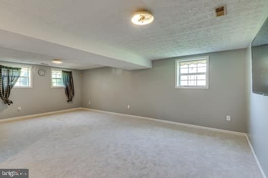 7308 Foxbranch Court photo 12