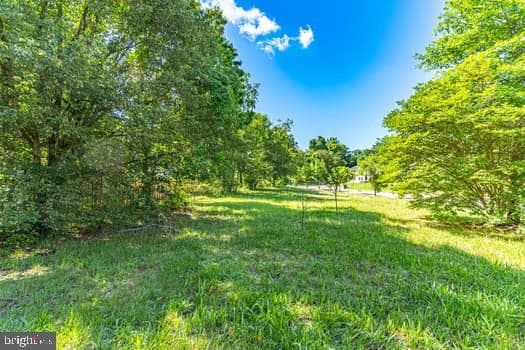 7308 Foxbranch Court photo 17
