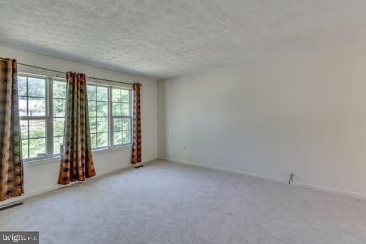 7308 Foxbranch Court photo 2