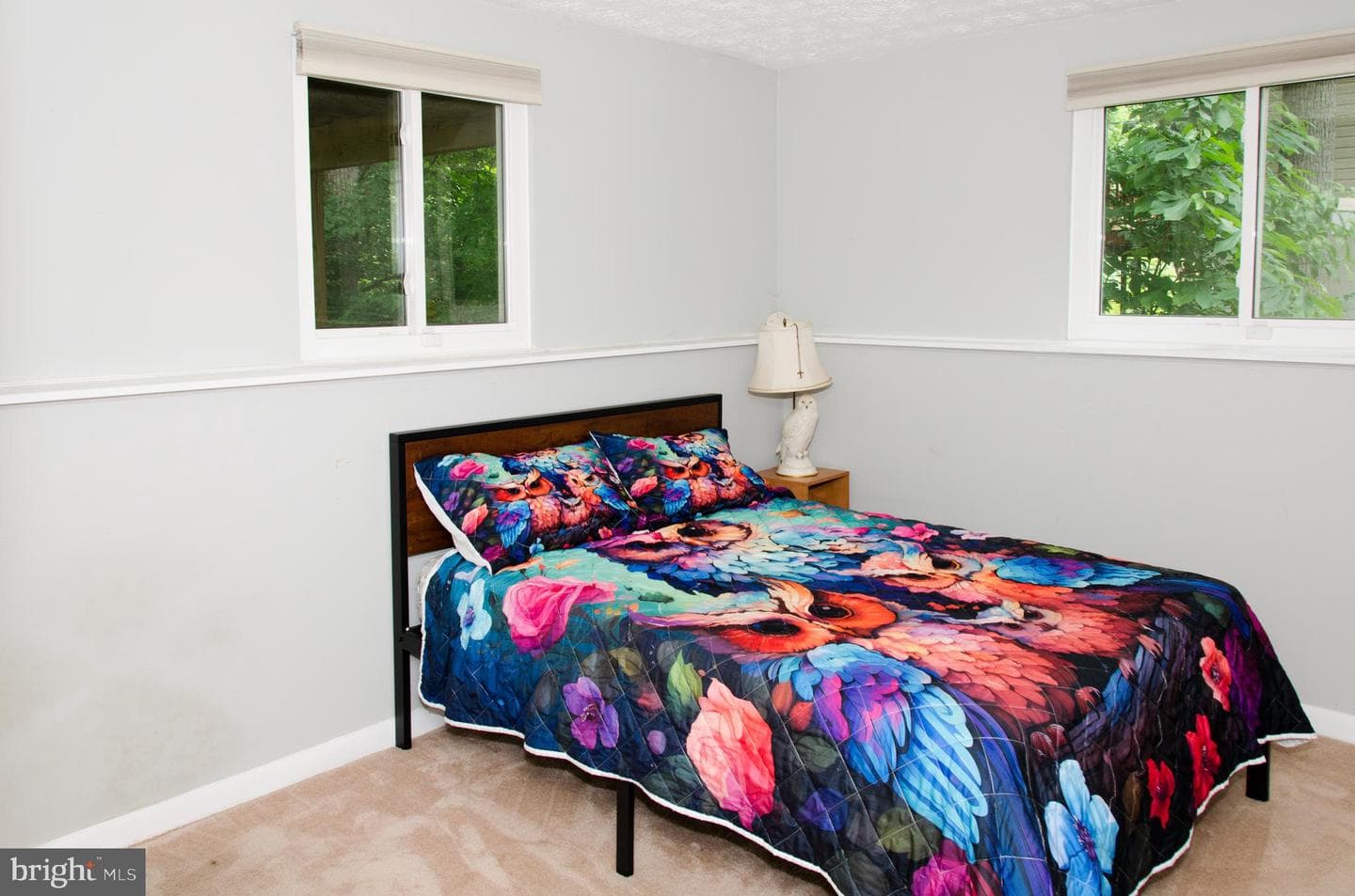 10804 Timberline Drive photo 13